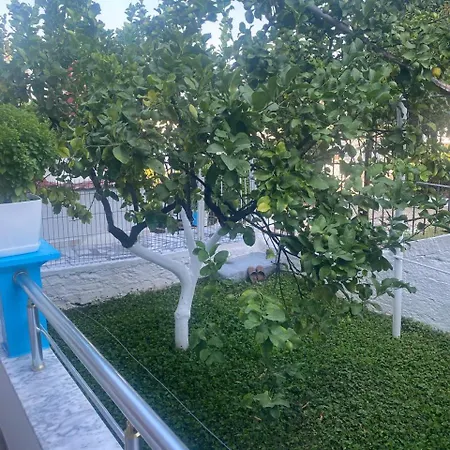 Malaj's Sarandë